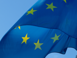 Eiropas savienības karogs uz debesu fona