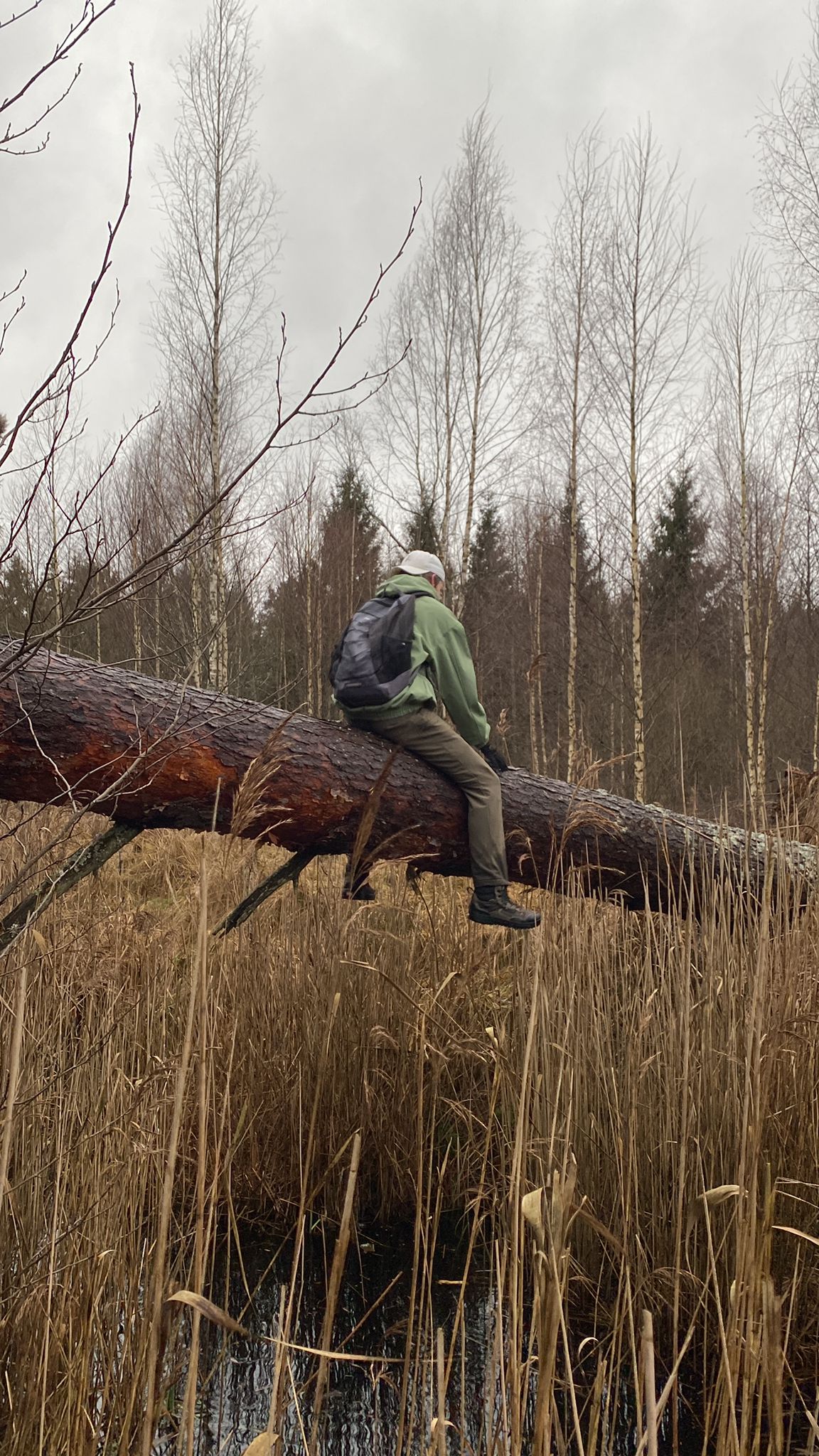 Jauniešu pārgājiens brīvdabā