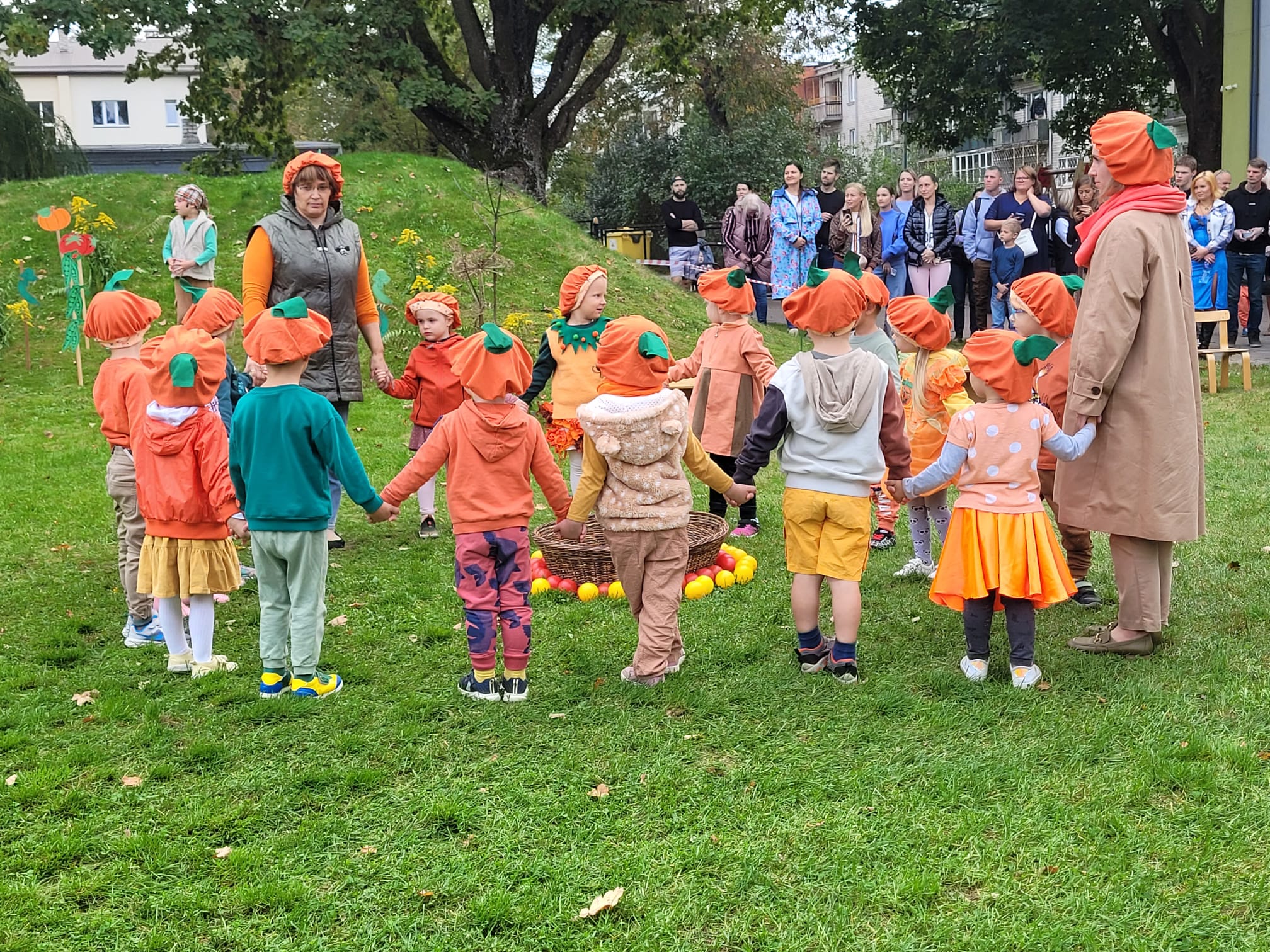 PII Lienīte rudens aktivitātes