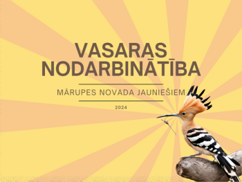 Jauniešu nodarbinātība 2024