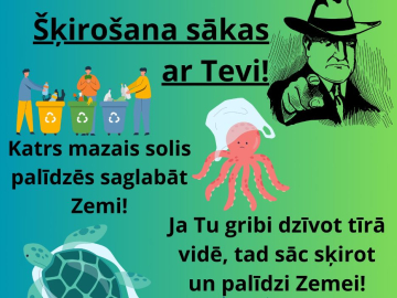 Šķirošanas bilde