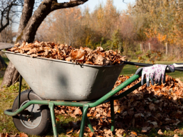 Iedzīvotāji rudenī bez maksas var nodot dārza atkritumus