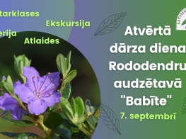 Zaļu toņu plakāts ar ziedu foto un tekstu par pasākumu rododendru audzētavā