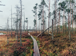 Izveidots jauns tūrisma maršruts piedzīvojumu meklētājiem