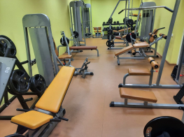 Sporta zāles trenažieri dzeltenā krāsā