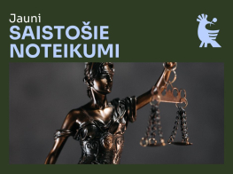 Grozījumi kārtībā, kādā pašvaldība piešķir un izmaksā pašvaldības atbalstu bērnam, kurš saņem pakalpojumu privātajā pirmsskolas izglītības iestādē, vai līdzfinansējumu pie privātā bērnu uzraudzības pakalpojuma sniedzēja