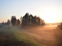 Ezers un koki miglā